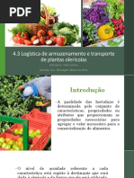 4.3 Logística de Armazenamento e Transporte de Plantas Olerícolas