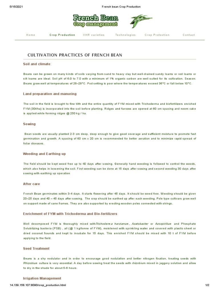 French Bean Cultivation Practices | PDF | Sowing | Soil