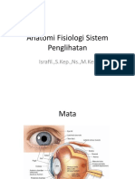 5 Sistem Penginderaan Mata