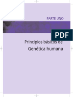 Genetica 1 Español.