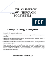 Earth: An Energy Flow - Through Ecosystem