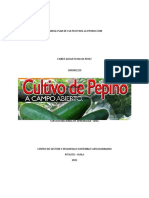 Manual Plan de Cultivo para La Produccion de Pepino