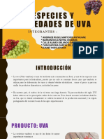 Especies y Variedades de La Uva