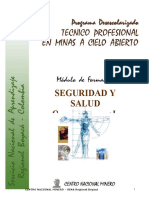 MODULO Seg Salud