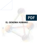 genoma