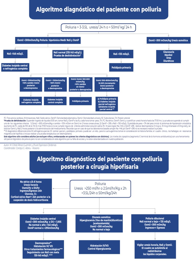 Algoritmo diagnóstico y tratamiento de la poliuria | PDF | Medicina ...