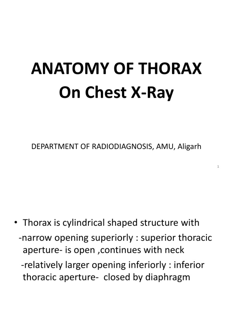 Thorax Anatomy and X-Ray Insights | PDF | Thorax | Lung