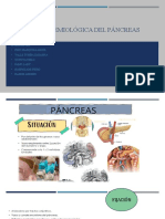 Semiología Pancreas