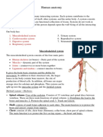 Human Anatomy: 1. Musculoskeletal System 2. Cardiovascular System 3. Digestive System 4. Respiratory System