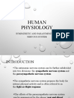 Human Physiology: The Sympathetic and Parasympathetic Nervous Systems