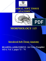 Intraoral Soft Tissue Anatomy: Morphology 115