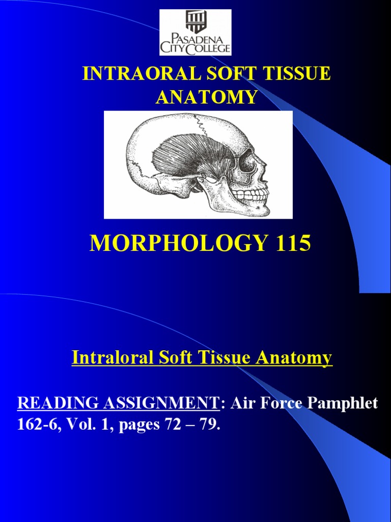 Intraoral Soft Tissue Anatomy Morphology 115 PDF Tongue Dentures