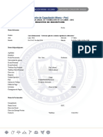 Formato Registro Geotecnia Aplicada A Mineria Superficial Subterranea