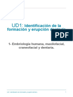 UD1.1- Embriología humana, maxilofacial, craneofacial y dentaria.  