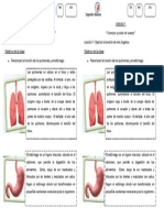 Leccion 1 - Pulmones y Estomago