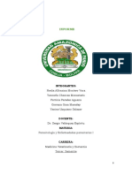 Informe Caso Clinico Piroplasmosis