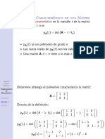 Algebra Lineal Definicion Polinomio Caracteristico