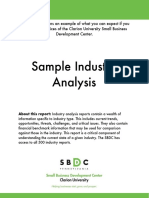 4 Sample Industry Analysis