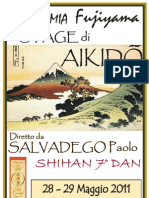 Stage Aikido diretto da Salvadego Paolo Shihan - 28-29 Maggio 2011 a Feltre