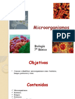 microorganismos_7mo