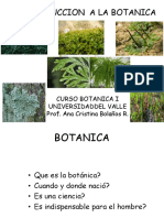 Introducciön, Historia de Las Plantas Ii