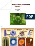 Viral pathogenesis and control mechanisms