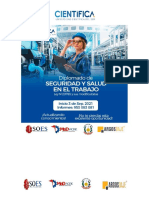 Brochure Diplomado de Seguridad y Salud en El Trabajo PDF