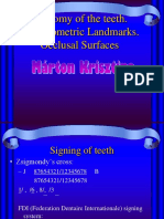 Morphology of Teeth Cephalometric Landmarks