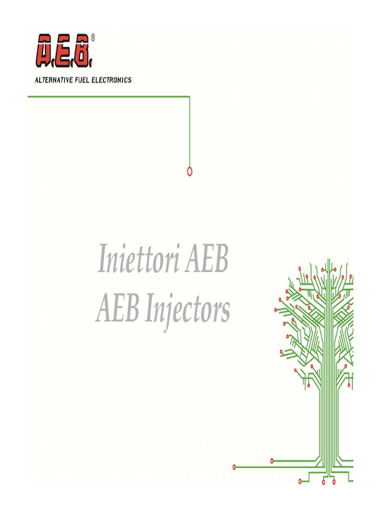 Iniettori AEB AEB Injectors | PDF
