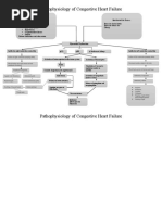 Pathophysiology of Congestive Heart Failure | PDF | Myocardial ...