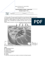 Ficha_de_Avaliacao_Formativa_-_Outubro_2010