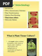 Explant Definition and Types in Tissue Culture | PDF | Cell Potency ...