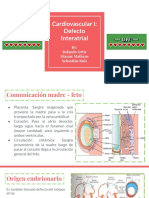 Expo 3 Pato II - Cardiaco I - O. M. R.