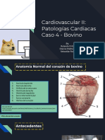 Expo 4 Pato II - Cardiaco II - O. M. R.