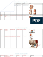 Tabla de Músculos de Anatomía y Fisiología I