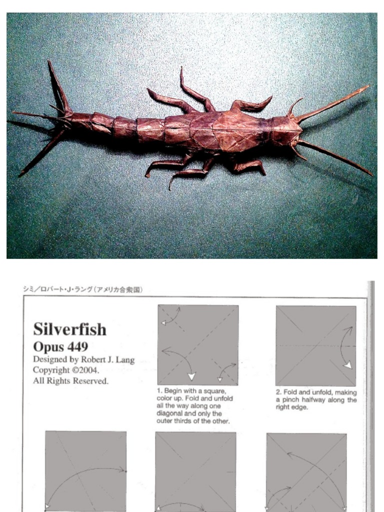 Silverfish - Origami | PDF