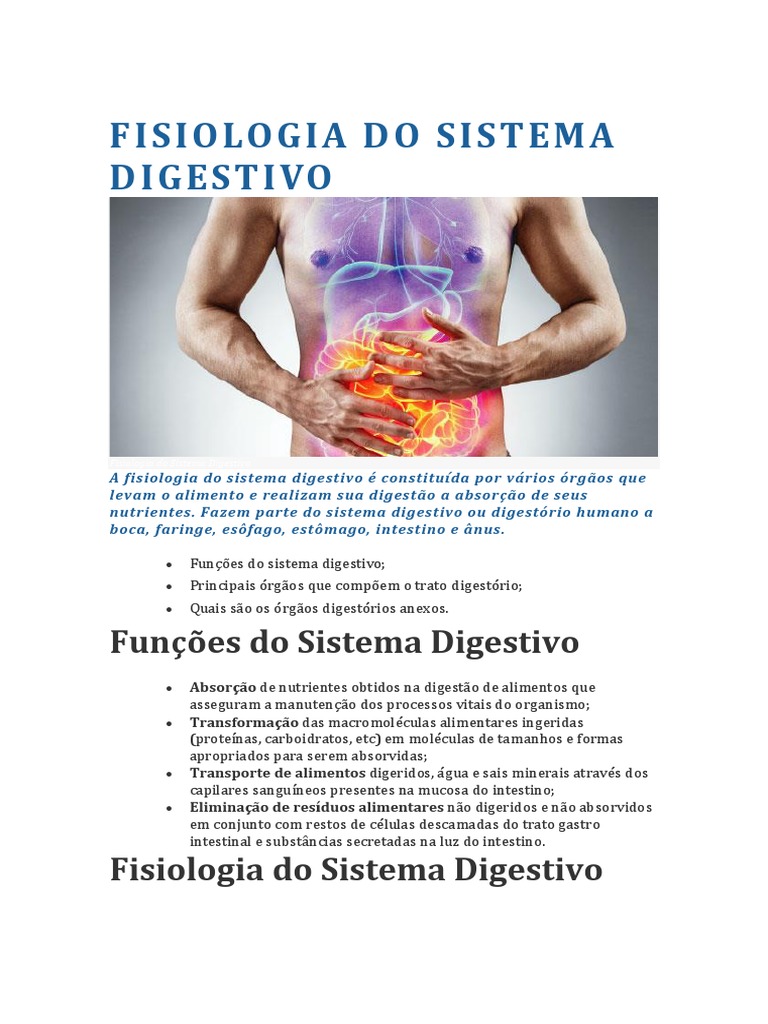 Fisiologia Do Sistema Digestivo | PDF | Sistema digestivo humano ...