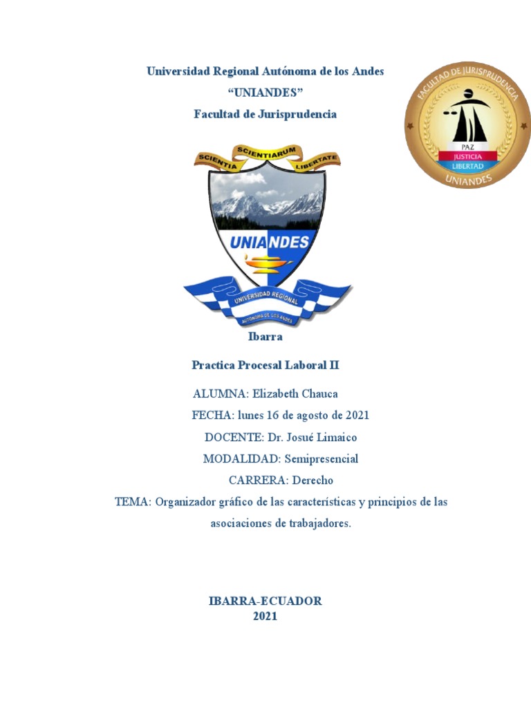 Organizador Grafico PDF Derecho laboral Sindicato