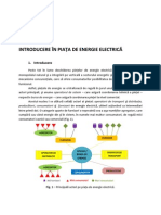 06 - Introducere in Piata de Energie Electrica