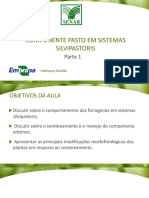 Aula 05 - Componente Pasto em Sistemas Silvipastoris - Parte 1