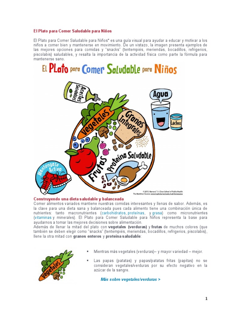 NUTRICIÓN EQUILIBRADA: PLATO HARVARD O PLATO SALUDABLE - Método Nova Line