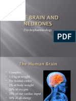 Neurotransmitters