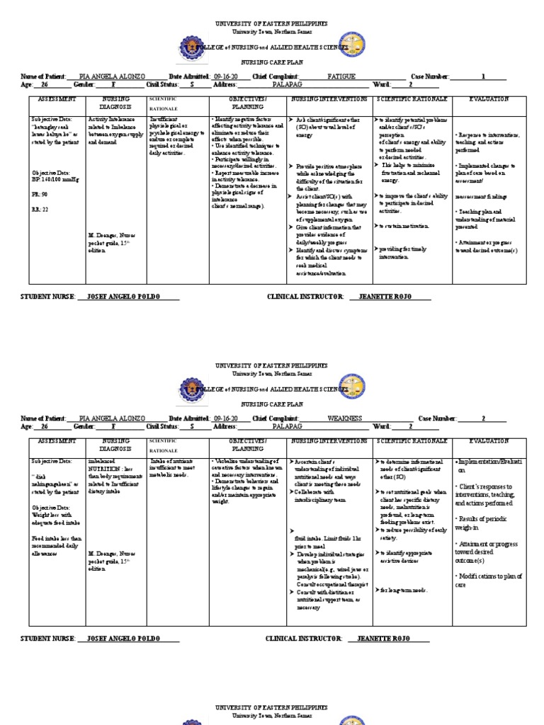 Nursing Care Plan for Patient Fatigue | PDF | Respiratory Tract | Nursing