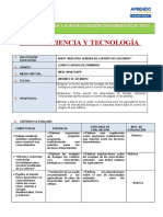 Competencias y Estándares - Ciencia y Tecnologia-1