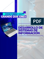 Desarrollo de Sistemas de Información