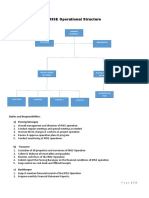 IRISE Operational Structure