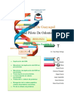 Duplicación Del ADN