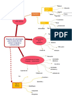 Estrategia Para Atencion Campo Lenguaje y Comunicacion