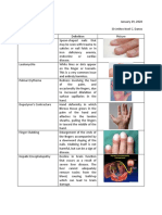 Peripheral Vascular Examination Assignment