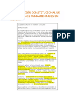 La Protección Constitucional de Los Derechos Fundamentales en México